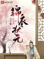 锦衣状元天子 锦衣状元天子