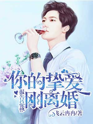 重生之投资之王周元 重生之投资之王周元